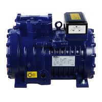 Холодильный компрессор RDL RSH2FC-2.2LP